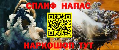 гидра Берёзовский