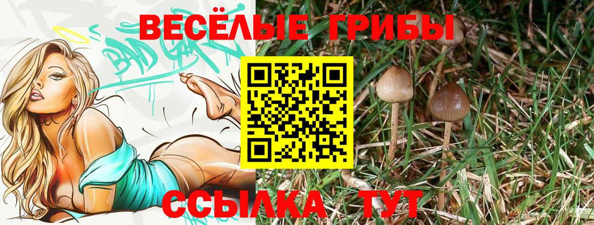 Галлюциногенные грибы MAGIC MUSHROOMS Дмитров