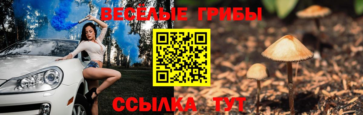 Псилоцибиновые грибы Psilocybe  магазин продажи наркотиков  Дмитров  Вход с VPN 