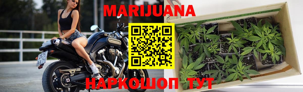 Бошки марихуана THC 21%  Шишки марихуана SATIVA & INDICA  Дмитров  Конопля Amnesia  Марихуана THC 21%  Вход с VPN 